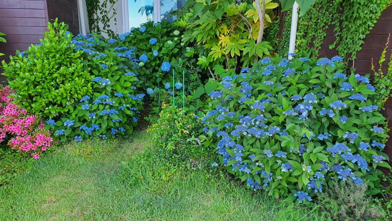 Beewool Chaewool Pension Согвіпо Екстер'єр фото